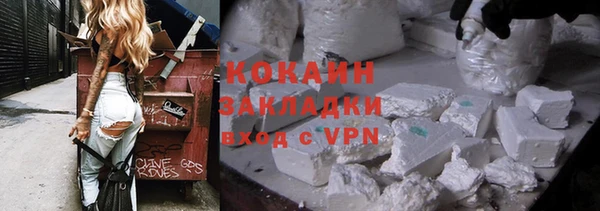 шишки Корсаков