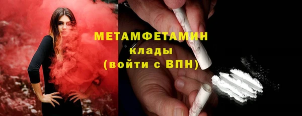 шишки Корсаков