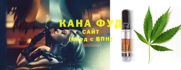шишки Корсаков
