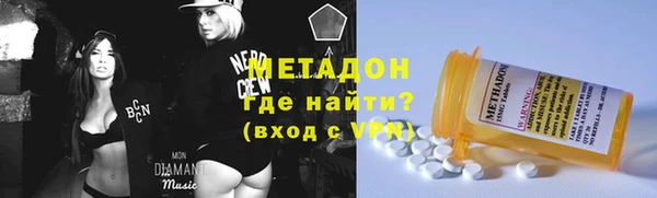 шишки Корсаков