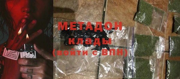 шишки Корсаков