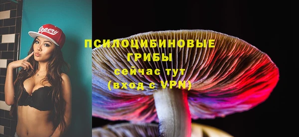 синтетический гашиш Коряжма
