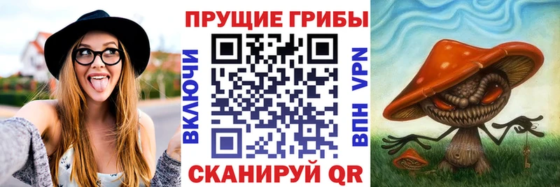 Купить где Белая Калитва Псилоцибиновые грибы Magic Shrooms